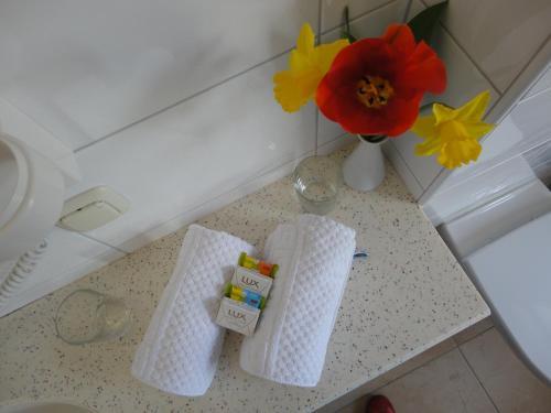 Aktiv- & Familienhotel Alpenblick