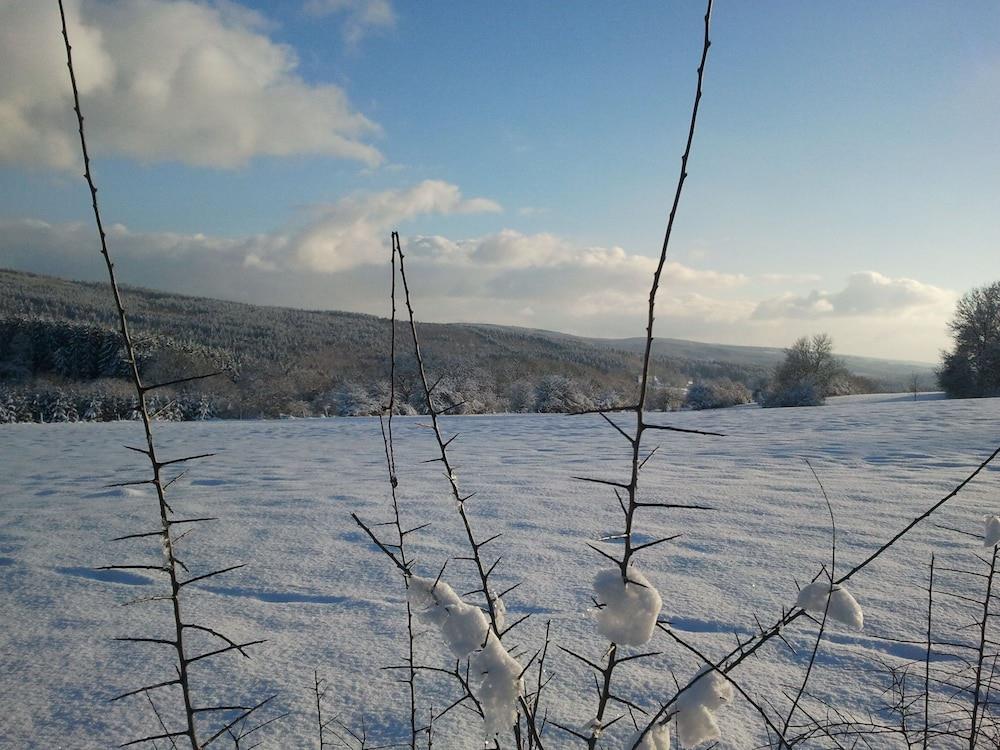 Dreamy Holiday Home In Fays With Sauna