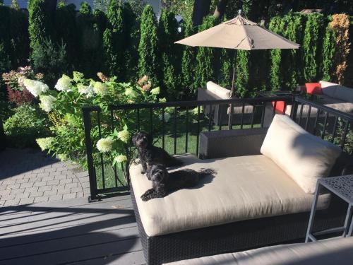 Christleton Manor Luxury Bed & Breakfast