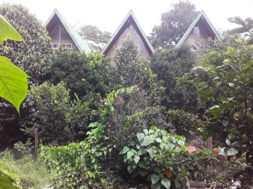 Fireside Inn And Grill