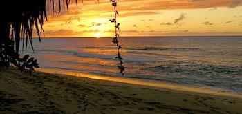 Emerald Beach 3 - Villa Ixoria