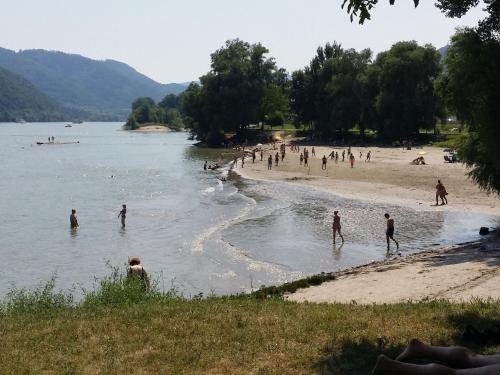 Weingasthof Donauwirt