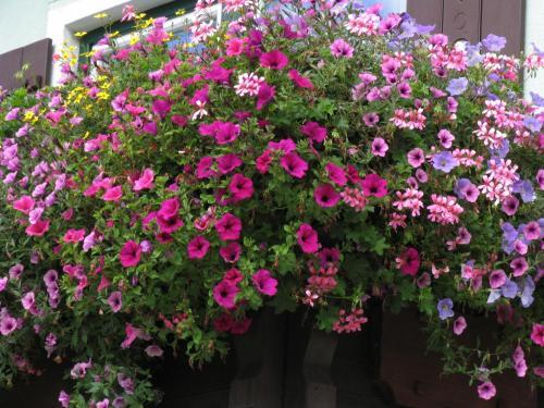 Gästehaus Zum Tauern