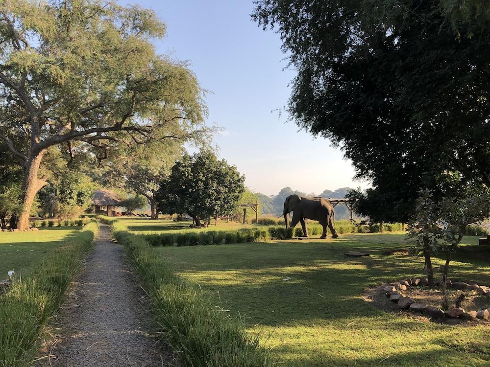 Track And Trail River Camp