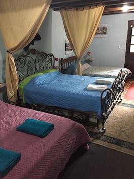 La Jungla Experience