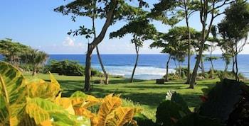 Family Oriented Private Beach And Horse Stables Oceanpool And Jacuzzi