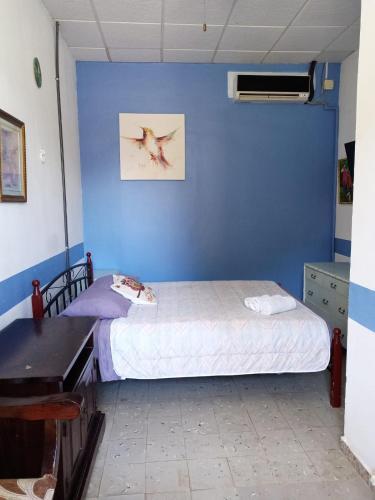 Las Catalinas Anton Panama