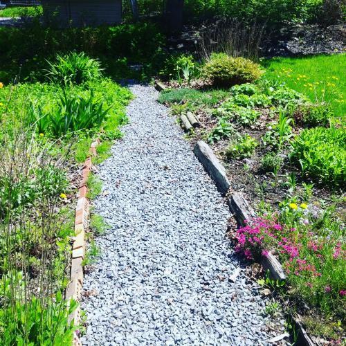 The Cosy Cottage Inn