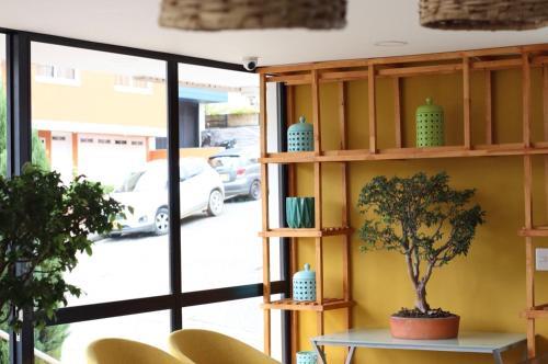 Apartahotel Millennials