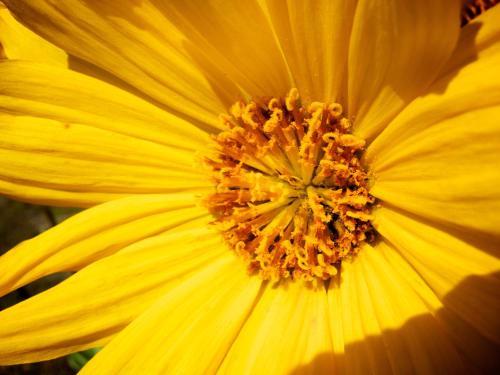 Kumsheen Rafting Resort