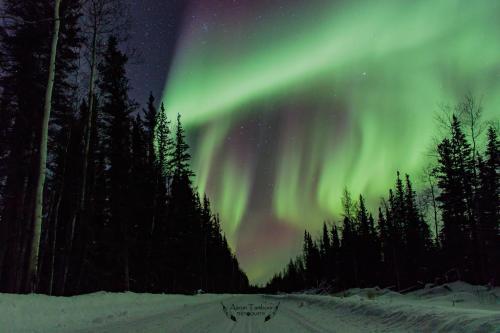 Eileens Bed & Breakfast Guest House