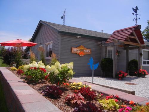 Duck Pond B&B Cottage