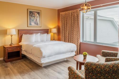 Hôtel Motel La Vigie