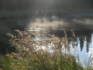 Schott's Lake Rv & Guest Ranch Inc.