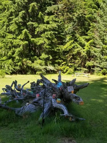 Mulvehill Creek Wilderness Inn And Wedding Chapel