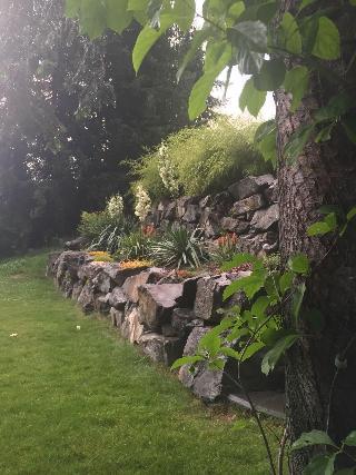 Wolf's Den On The River