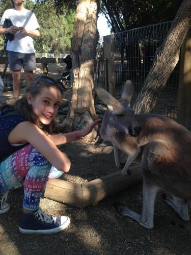 Bellevue Family Comforts Amenities