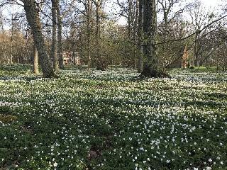 Best Western Valhall Park Hotell