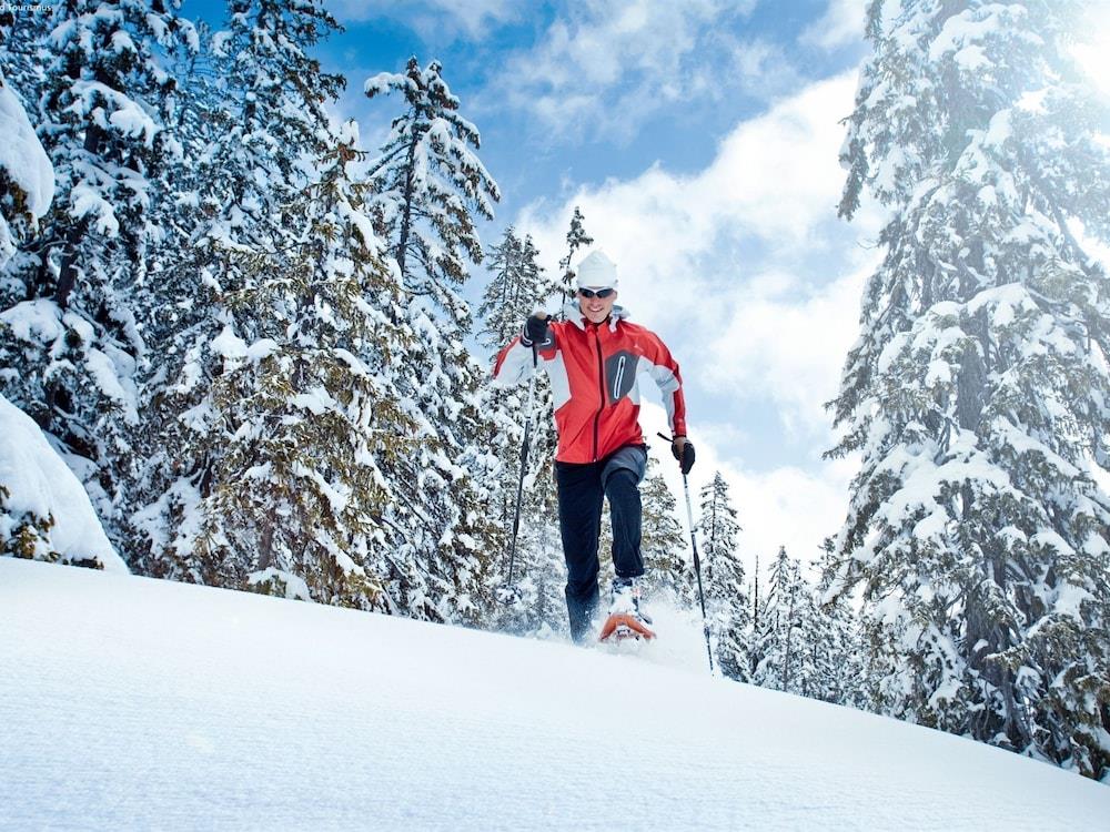 Charming Chalet In Niedernsill Near Ski Area