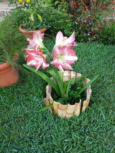 Hotel El Pueblito De Don Luis