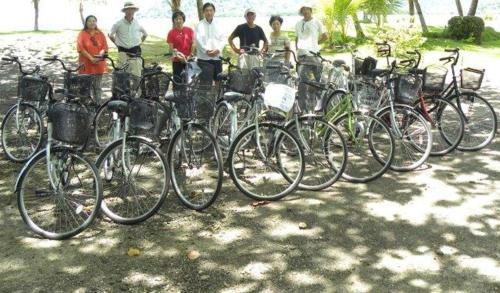 Pacific Treelodge Resort