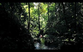 El Amargal Reserva Natural