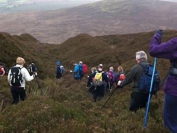 Kilmaneen Farmhouse Bed & Breakfast