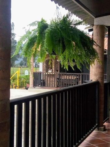 Posadas San Antonio Campestre