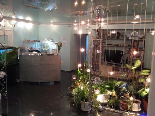 Mini Hotel Ozyornaya