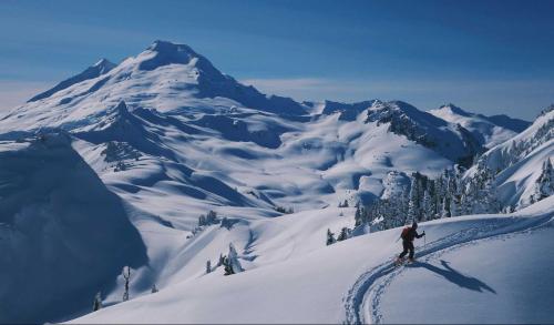 Alpine Inn Abbotsford