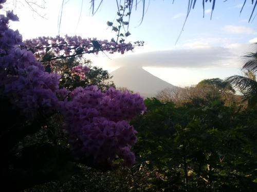 Eco Lodge El Porvenir