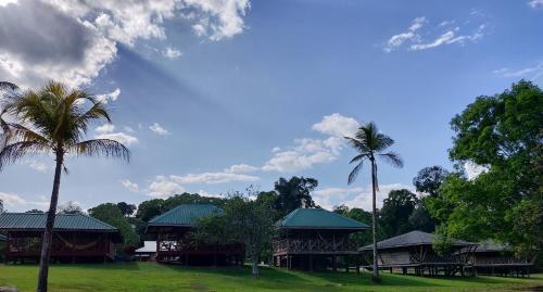 Iwokrama River Lodge