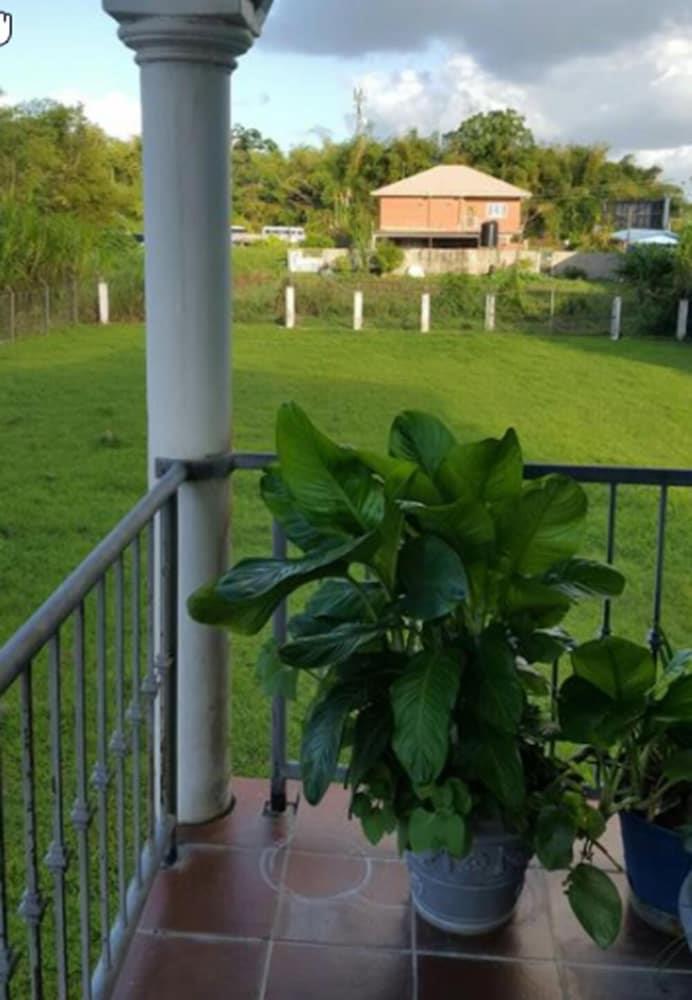 Bougainvillea Apartments