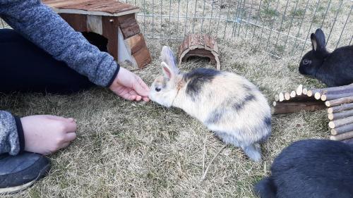 Landhotel Restaurant Willingshofer