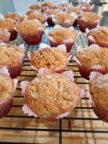 Willow House Inn B&B