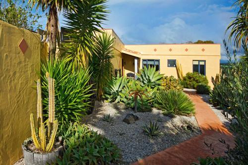 Mapua Hills Bed & Breakfast