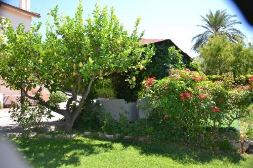 Il Bed & Breakfast Due Fontane