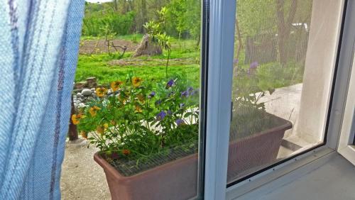 Country House Uliana