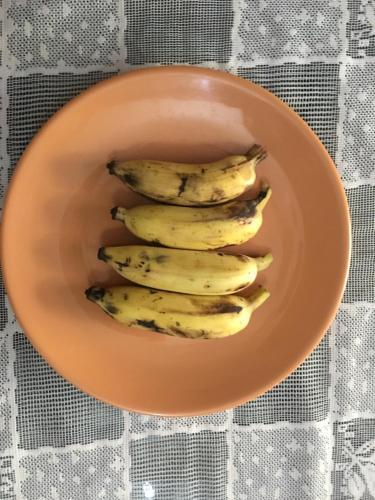 Johns Highland Comfort Guest House