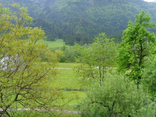 Aparthotel Forellenhof Waldner