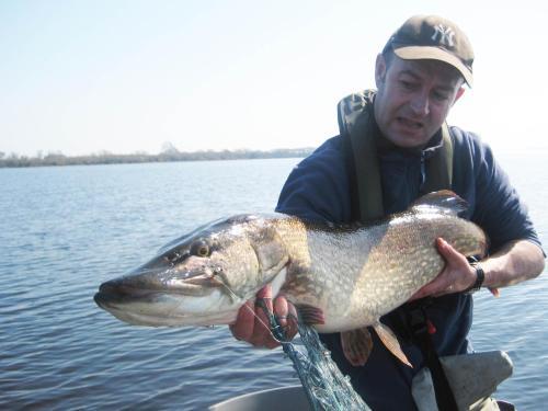 Clareville House B&B