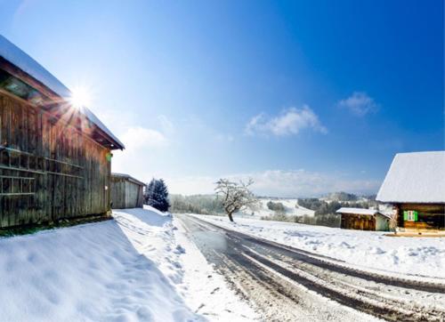 Frühstückspension Zanglhof