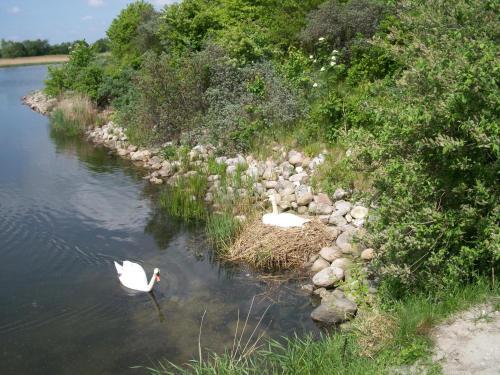 Tangloppen Camping & Cottages