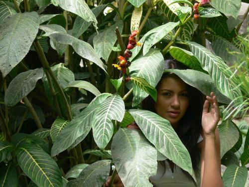 Ecovita Organic Lodge & Farm