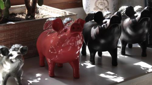 Gavalier Design Rooms