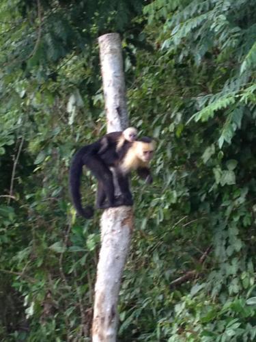 Casa Delicias Playa Montezuma