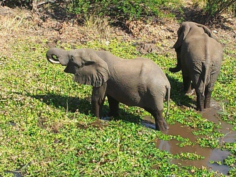 Courtyard Victoria Falls