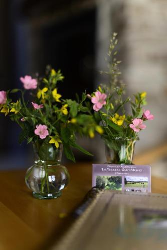 Les Terriers Saint-Hubert