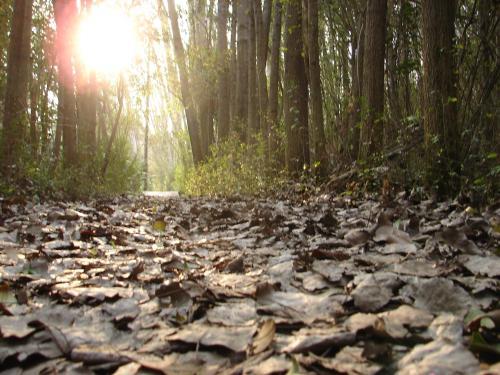 Reserva La Juana Ecolodge