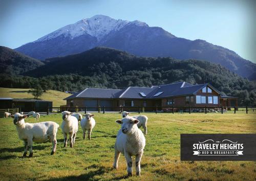 Staveley Heights B&B
